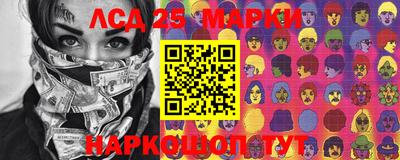 крисы Новокубанск