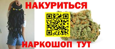 крисы Новокубанск