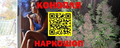 крисы Новокубанск