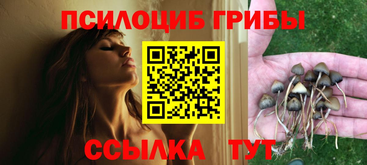 Псилоцибиновые грибы мицелий  где найти   Вход с VPN  Петропавловск-Камчатский  Псилоцибиновые грибы мицелий 